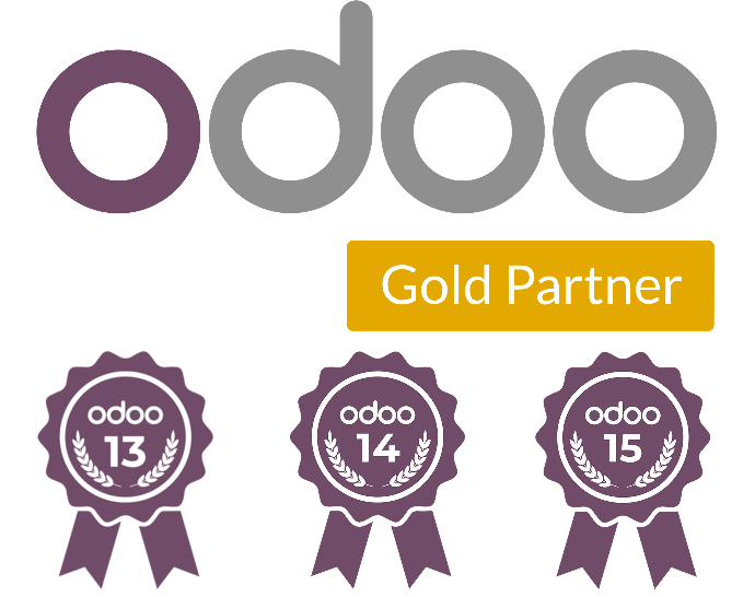 Functional Odoo expertise - Squareflow Odoo gold partner