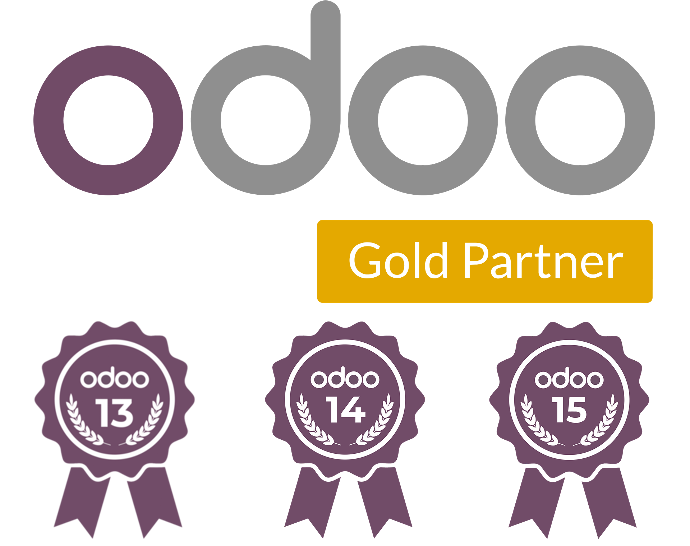 Squareflow Odoo gold partner Functional Odoo expertise - Squareflow Odoo gold partner
